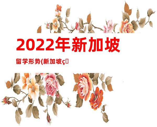 2022年新加坡留学形势(新加坡留学一个月生活费多少2022)