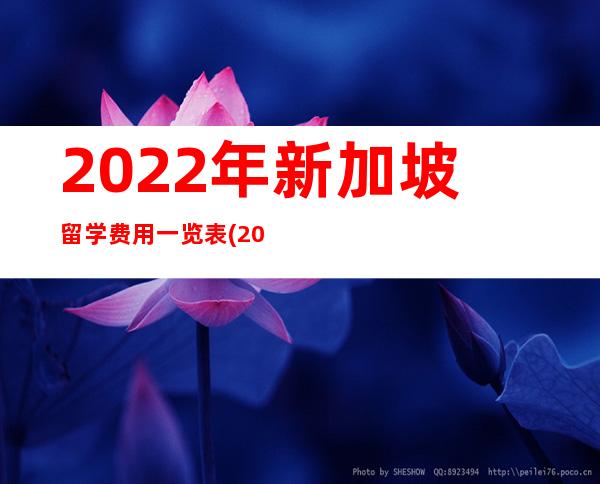 2022年新加坡留学费用一览表(2023年新加坡留学费用)