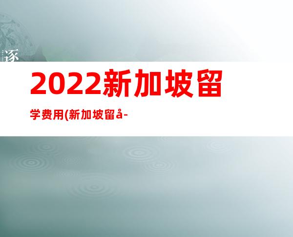 2022新加坡留学费用(新加坡留学费用一年大概多少人民币)