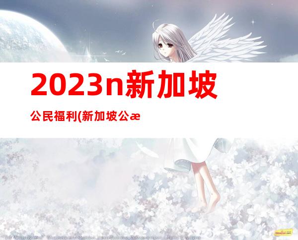 2023n新加坡公民福利(新加坡公民的福利)